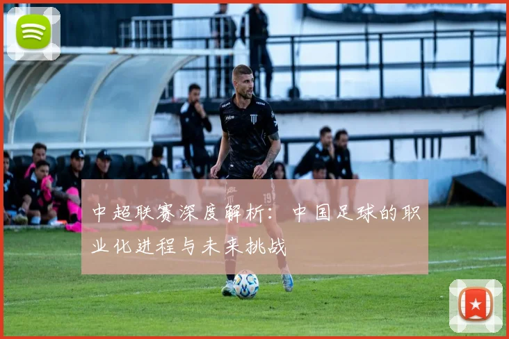 中超联赛深度解析:中国足球的职业化进程与未来挑战